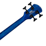Bajo Eléctrico, Spector NS ETHOS 4