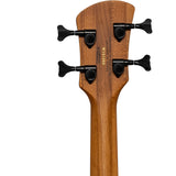 Bajo Eléctrico, Spector NS PULSE 4