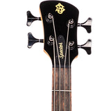 Bajo Eléctrico, Spector Performer 4